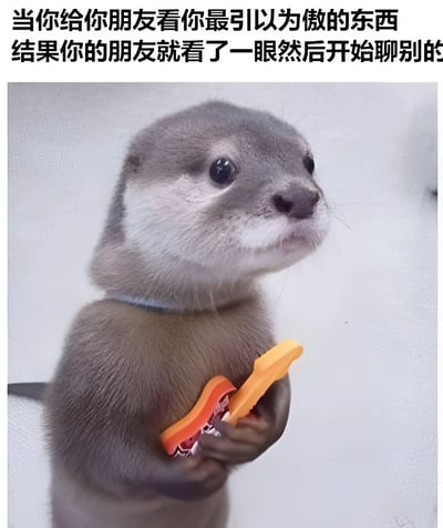 图片上方配有文字“当你给你朋友看你最引以为傲的东西 结果你的朋友就看了一眼然后开始聊别的”，下方是一只水獭的特写。水獭毛色为灰褐色，胸前毛色较浅，脖子上戴着蓝色项圈，双手捧着一个橙红色的物体，抬头望向斜上方，眼神中带着一丝期待又夹杂着些许失望，生动地表现出分享重要事物却被忽视时的无奈心情。