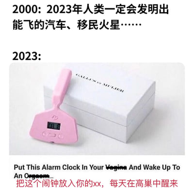 这张图片通过上下对比的方式，展示了2000年人们对2023年的未来畅想与现实的差距。上半部分文字写着"2000: 2023年人类一定会发明出能飞的汽车、移民火星……"，表达了对未来高科技的期待。下半部分则展示了2023年的现实，图片中是一个粉色的闹钟样设备，旁边配有文字"Put This Alarm Clock In Your Vagina And Wake Up To An Orgasm...把这个闹钟放入你的xx，每天在高巢中醒来"，用一种幽默讽刺的方式展现了与当初畅想的高科技形成鲜明对比的实际产品。