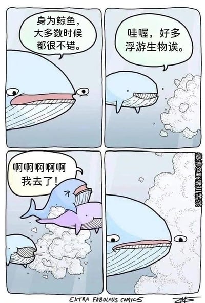 这是一则四格连环卡通漫画，讲述了大鲸鱼的搞笑经历：第一格，大鲸鱼一脸平静地说道“身为鲸鱼，大多数时候都很不错。”；第二格，大鲸鱼看到一团浮游生物，露出开心的表情，兴奋地喊“哇喔，好多浮游生物诶。”；第三格，大鲸鱼张嘴吸食浮游生物，结果误将两只小鲸鱼也吸了进去，被吸的小鲸鱼惊恐地大喊“啊啊啊啊啊我去了！”；第四格，大鲸鱼一脸尴尬地看着旁边，只剩部分浮游生物在嘴边。漫画利用鲸鱼滤食的习性制造反差笑点，原本以为是美味的食物，结果误吸了同类，带来荒诞的搞笑效果。