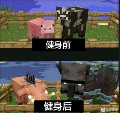 这是一张基于沙盒游戏《我的世界》创作的上下对比梗图，上方区域标注“健身前”，展示了游戏中两种温和的牲畜——粉色的猪和棕色的牛，它们安静地站在围栏中；下方区域标注“健身后”，对应的生物替换成了游戏中攻击性强、体型更壮硕的疣猪兽和劫掠兽，二者外观凶悍，和之前的温和形象形成强烈反差。这张图通过游戏内不同生物的属性与外观反差，调侃健身后“变强变有威慑力”的效果，充满搞笑的反差感。