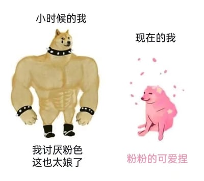 图片通过左右对比展示了同一个柴犬角色的两种形象变化。左边是小时候的我：肌肉发达的柴犬，戴着项圈和护腕，表情得意，配文'我讨厌粉色 这也太娘了'；右边是现在的我：粉色的可爱柴犬，周围有樱花飘落，配文'粉粉的可爱捏'。通过夸张的视觉对比和态度反转，幽默地表现了人们对粉色喜好的转变。