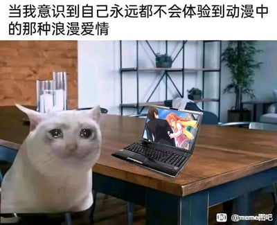 这是一张经过P图改编的网络梗图，画面设置在室内餐桌场景中，一只眼睛含泪、神情悲伤委屈的猫咪坐在桌前，旁边的笔记本电脑屏幕上展示着动漫里男女主角亲密相拥的浪漫画面。图片顶部配有文字“当我意识到自己永远都不会体验到动漫中的那种浪漫爱情”，通过猫咪的失落神态，生动传递出现实中的人向往动漫里理想化的浪漫爱情，却清楚自己无法拥有这种情感体验的失落、难过情绪，能够引发众多二次元爱好者的情感共鸣。
