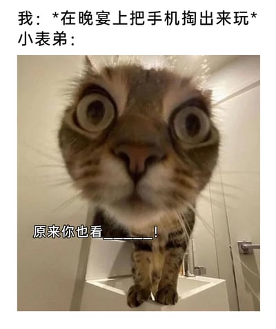 这是一张用于调侃日常社死瞬间的搞笑梗图，设定了在正式晚宴的场合中，“我”掏出手机玩耍时被小表弟撞见的场景。图中用一只瞪大双眼、表情兼具震惊与兴奋的猫咪来代指小表弟，配文“原来你也看______！”，空白的填空处可以填入各类反差感拉满的内容，比如少儿动画、土味视频等，以此制造出在严肃场合暴露私下喜好的尴尬又搞笑的效果，同时空白设计也让该梗图具备二次创作的灵活性，适配不同的搞笑场景。