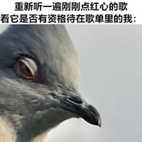 鸽子