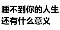 这是一张纯文字静态图片，背景为白色，上面用黑色字体写着“睡不到你的人生还有什么意义”。文字内容直白且带有夸张的情感色彩，通常用于表达对某人强烈的喜爱或依恋，以幽默或调侃的方式传递深情。