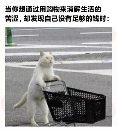 这张梗图上方为中文配文“当你想通过购物来消解生活的苦涩，却发现自己没有足够的钱时：”，下方是一只白猫拟人地扶着购物车呆滞站在马路或停车场，看起来非常无奈和失落。结合文案，表现出当代年轻人想通过购物来缓解压力，但又囊中羞涩、无法消费的现实窘境。整体给人幽默又心酸的自嘲氛围。

没有谐音梗、双关梗，但有浓烈的情感投射和调侃风格。
