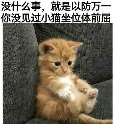 图片中是一只橘白相间的幼猫，正坐在灰色沙发上，前爪向前伸展，身体微微前倾，姿势酷似人类做坐位体前屈运动。图片上方配有文字“没什么事，就是以防万一你没见过小猫坐位体前屈”，通过将小猫的自然姿势幽默地类比为体育动作，营造出可爱又搞笑的效果。