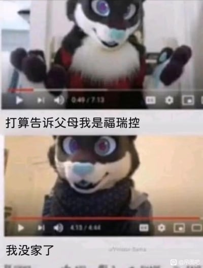这是一张由两段福瑞兽装视频截图拼接而成的搞笑梗图，采用上下对比的呈现方式。上图中的兽装角色表情期待，双手抬起，配文“打算告诉父母我是福瑞控”，表现出角色准备向家人坦白自身特殊喜好的忐忑又带有期待的心情；下图中的兽装角色表情失落无奈，配文“我没家了”，暗示角色向父母坦白后被赶出家门的结局，通过强烈的前后反差，用夸张的手法调侃福瑞控这类小众喜好向家人“出柜”时可能遭遇的尴尬、糟糕处境，制造出荒诞的搞笑效果。