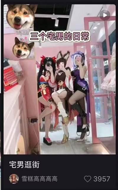 这是一张抖音短视频的截图，画面核心是三位身着精致二次元女装的人在镜子前自拍，其中两位分别cos了《崩坏：星穹铁道》中的花火与停云，另一位是兽耳女装角色。画面左上角用两张开心大笑的Doge柴犬表情包替换了她们的头部，上方配文“三个宅男的日常”，下方视频标题标注“宅男逛街”，通过“女装形象”与“宅男”标签的强烈反差制造搞笑效果，打破大众对宅男的固有刻板印象，风格诙谐有趣，很贴合ACG爱好者圈子的玩梗文化。