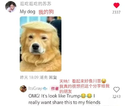 暂无描述