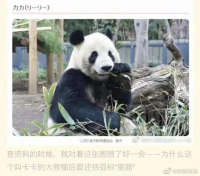 这是一则图文混排的内容，上方是东京动物园协会提供的大熊猫照片，照片上方标注日文名称「カカ(リーリー)」，下方是微博网友的疑惑文字：「查资料的时候，我对着这张图想了好一会——为什么这个叫卡卡的大熊猫后面还括弧标‘丽丽’」。图中的大熊猫正坐着啃食竹叶，神态平和。实际上这是同一只大熊猫的不同语言称呼，「カカ」是日文音译名“卡卡”，「リーリー」是其中文名“丽丽”的日文音译，网友因译名的不同表述形式产生了疑惑。