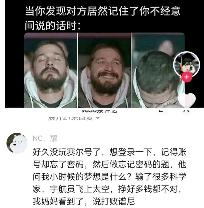 普通网友家属