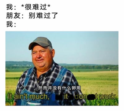 这是一张图文结合的搞笑梗图，上方呈现了一段日常对话：“我”表示自己很难过，朋友进行安慰“别难过了”，随后用下方的图片来回应“我”的状态。图片主体是一位穿着格子衬衫和背带裤的农民，站在开阔的田野背景中，图上叠加了改编的中英文字幕，中文为“然而并没有什么卵用”，英文为“It ain't much, it don't work”，改编自原梗图的“It ain't much, but it's honest work”，以此幽默地表达朋友的安慰完全没有效果，自己的负面情绪并未得到缓解的扎心状态，用戏谑的方式吐槽生活中常见的无效安慰场景。