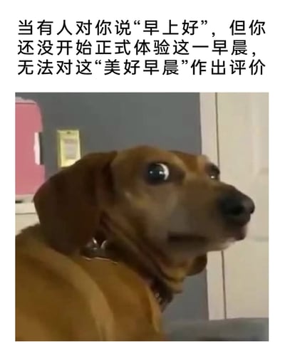 这是一张图文混排的表情包，上方配有文字“当有人对你说‘早上好’，但你还没开始正式体验这一早晨，无法对这‘美好早晨’作出评价”，下方是一只眼睛瞪大、面部肌肉僵硬的狗狗，狗狗错愕茫然的神态完美契合了还没进入早晨状态，突然被问候早上好时那种不知道该如何回应的尴尬与茫然，精准戳中了很多人在日常社交中遇到的类似小尴尬场景，极易引发共鸣。