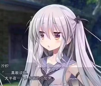 这是一张Galgame的剧情截图，画面主体是银发双马尾造型的少女汐织，她身着水手服风格的服饰，面露嫌弃又无语的神情，背景是昏暗的户外环境。图中配有汐织的对白：“……真敢说啊。大半夜一个人导管的小处男”，用直白且带有鄙夷的话语嘲讽对方，语气充满嫌弃，将对方私下的尴尬行为直接点出，适合用来调侃言行大胆但有着私密尴尬举动的人，图中无谐音梗、双关或其他暗示内容。