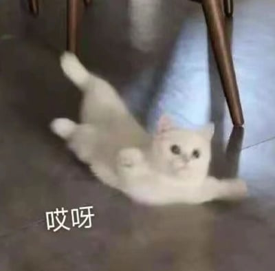 这是一张文字加注类的静态表情素材图，画面主体是一只浅色系的小猫咪，它仰躺在地面上，看起来像是刚滑倒，四肢张开，眼睛圆睁，表情懵懂又慌张，画面左下角配有文字“哎呀”，生动还原了猫咪滑倒瞬间的意外感，这个表情包常被用来在社交场景中表达自己遇到小意外、尴尬瞬间时的慌乱、懵圈的情绪。