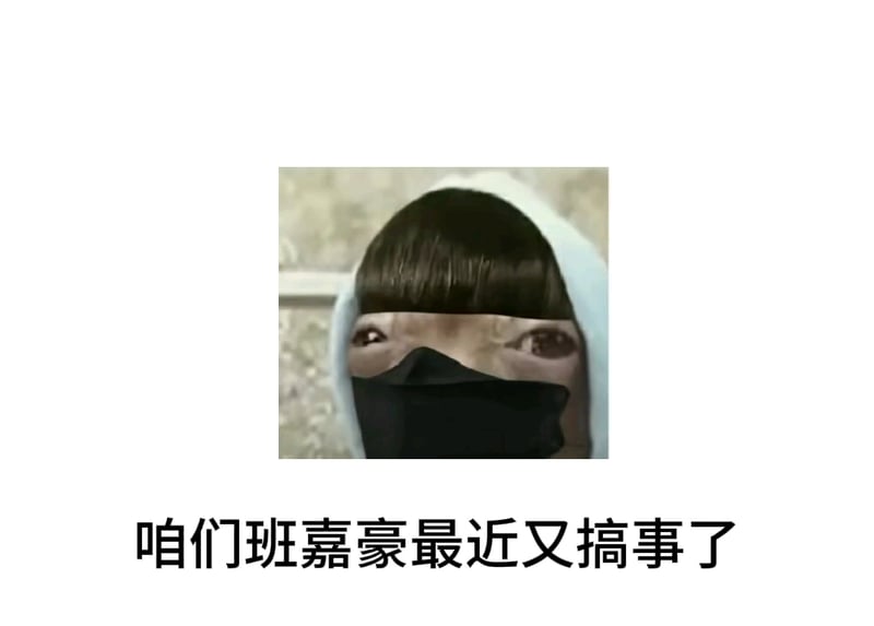 嘉豪