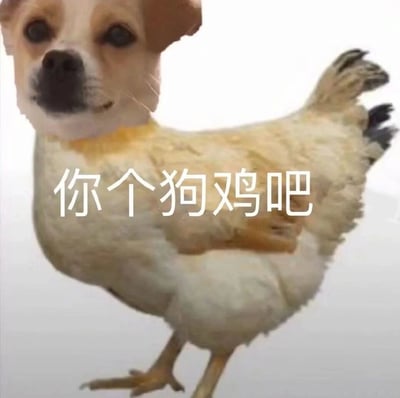 这是一张经过图像编辑软件拼接合成的网络梗图，创作者将吉娃娃犬的头部与家鸡的身体组合，创造出一个不伦不类的“狗头鸡身”生物。图中叠加了白色简体中文文字“你个狗鸡吧”，利用谐音双关的方式，将粗俗的骂人话语用怪异的视觉形象呈现，整体风格戏谑搞怪，带有低俗的调侃意味，主要用于网络社交场景中的互怼、调侃或发泄情绪。