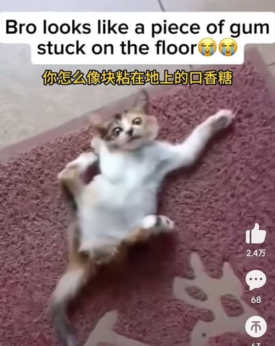 一张搞笑宠物图片，展示了一只四脚朝天躺在粉色地毯上的猫。猫的姿势非常滑稽，身体伸展，表情惊讶，配上文字"你怎么像块粘在地上的口香糖"，形成幽默效果。图片上方还有英文配文"Bro looks like a piece of gum stuck on the floor😂😂"。