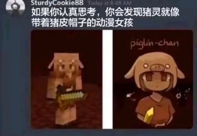 这是一张来自社交聊天平台的梗图，顶部由用户SturdyCookie88发布评论，提出将《我的世界》中的猪灵联想为戴猪皮帽子的动漫女孩的有趣观点。下方为左右对比图：左侧是游戏《我的世界》下界维度中的猪灵原版形象，它是方块风格的生物，手持金剑，呈现出游戏里的中立/敌对生物姿态；右侧是网友原创的拟人化动漫形象“piglinn-chan”，将猪灵的头部特征设计为猪皮帽子，搭配人类女孩的身体，手持金锭，画风萌系可爱。整张图通过这种形象的转化，制造出游戏怪物与萌系角色的反差感，是游戏圈常见的趣味二次创作梗图。
