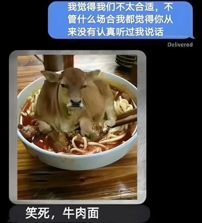 图片展示了一碗牛肉面的夸张幽默场景：碗中竟坐着一整头小牛，牛身浸泡在红油面汤里，周围漂浮着面条和肉块。上方蓝色对话框写着“我觉得我们不太合适，不管什么场合我都觉得你从来没有认真听过我说话”，下方配文“笑死，牛肉面”。通过将“牛肉面”字面意义上的“牛”具象化，制造出荒诞搞笑的视觉效果，调侃了食物名称与实际内容的夸张反差。