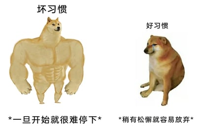 这是一张采用左右对比形式的网络梗图，左侧是将柴犬头部与健硕的人类肌肉身体合成的形象，上方标注“坏习惯”，下方配文“*一旦开始就很难停下*”，用充满力量感的视觉符号，隐喻坏习惯具有强大的“粘性”和成瘾性，一旦沾染就容易让人沉迷其中，难以自控；右侧是一只蹲坐的流泪柴犬，上方标注“好习惯”，下方配文“*稍有松懈就容易放弃*”，用委屈低落的神态，表现出坚持好习惯需要持续的自律和毅力，稍有疏忽就会半途而废的无奈。整张图通过反差强烈的视觉形象和精准戳中大众痛点的文字，生动地调侃了人们在习惯养成过程中普遍面临的困境，引发观者的共鸣。