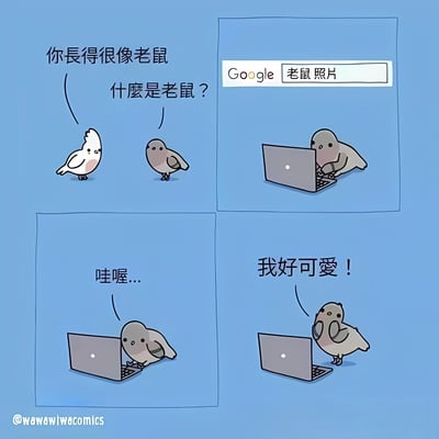 四格漫画形式的卡通梗图，蓝色背景。第一格：白色小鸟对棕色小鸟说“你长得很像老鼠”，棕色小鸟疑惑地问“什么是老鼠？”；第二格：棕色小鸟趴在笔记本电脑前，屏幕上显示Google搜索框，搜索内容为“老鼠照片”；第三格：棕色小鸟看着电脑屏幕发出“哇喔...”的惊叹；第四格：棕色小鸟双手捧脸，自信地说“我好可爱！”。通过小鸟误解老鼠形象并产生自信的情节制造幽默效果。
