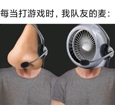 这是一张左右对比的P图改编静态梗图，上方配有文字“每当打游戏时，我队友的麦：”。图中左右两个穿着灰色上衣的人物，头部被分别替换成巨大的人类鼻子和涡轮风扇，两人都佩戴着带有麦克风的耳机，麦克风分别对准鼻孔和风扇。这张图用夸张、具象的比喻，吐槽玩家在联机打游戏时，经常遇到队友的麦克风传来类似浓重呼吸声、持续杂音的糟糕体验，十分形象地戳中了众多游戏玩家开黑时的共同烦恼，通过搞笑的画面引发玩家的共鸣。
