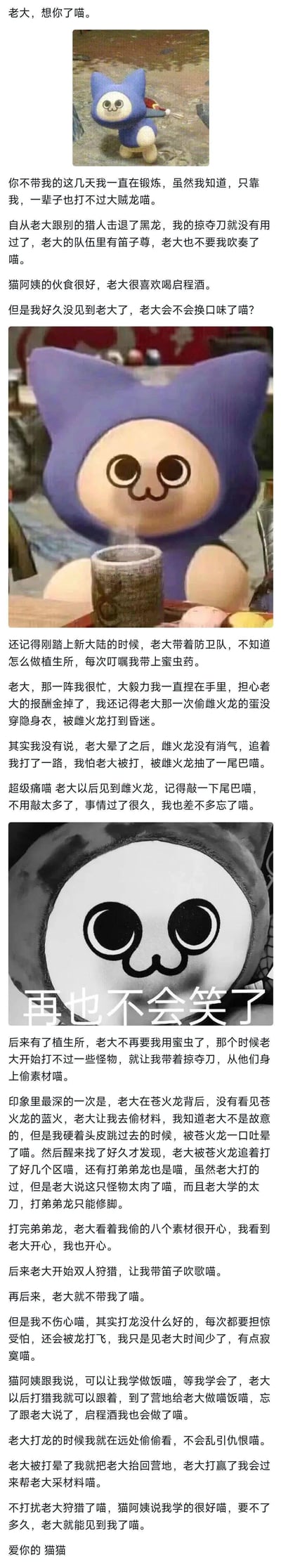 这是一段以《怪物猎人》系列里的艾露猫视角创作的图文内容，用带“喵”字后缀的软萌语气，讲述了它和猎人老大从新手狩猎到老大组队后不再带它的过往：新手时期帮老大带蜜虫、为保护老大被雌火龙抽尾巴，后来帮着偷怪物素材、吹辅助笛子，直到老大开始双人狩猎后不再带它。它一边锻炼一边学习做料理和老大爱喝的启程酒，盼着能再回到老大身边。内容搭配了三张不同表情的艾露猫玩偶图，分别对应思念、委屈、失落的情绪，整体风格软萌又带着淡淡的伤感，精准戳中《怪物猎人》玩家的专属回忆。