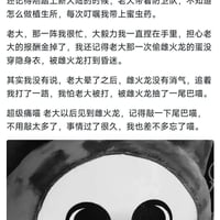 艾露猫