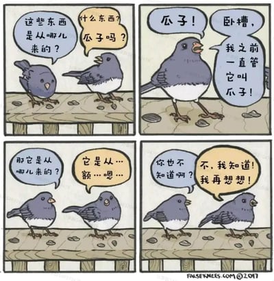 这是一幅四格连环卡通漫画，主角是两只站在木质平台上的灰蓝色白腹小鸟。第一格中，左侧小鸟疑惑地询问地上物品的来源，右侧小鸟先反问确认物品是不是瓜子；第二格中，右侧小鸟笃定地给出“瓜子”的答案，左侧小鸟则震惊地表示自己之前一直把它叫“爪子”，玩了“瓜子”与“爪子”的中文谐音梗，制造出乌龙笑点；第三格中，左侧小鸟再次追问瓜子的来源，右侧小鸟却突然语塞，支支吾吾答不上来；第四格中，左侧小鸟点破对方不知道答案，右侧小鸟却嘴硬地表示自己知道，只是需要再想想，将小动物拟人化，用生活化的嘴硬行为进一步强化了喜剧效果，整体风格轻松诙谐。