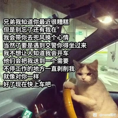 这是一张搞笑又带着心酸的meme静态图，画面主体是一只灰白相间的猫咪，它两只爪子搭在汽车方向盘上，坐在驾驶位，表情疲惫无奈，模仿人类开车的姿势。图中搭配了一大段拟人化的文案，以猫咪的口吻展开：先是安慰最近状态糟糕的朋友，提出要带对方兜风换心情，接着又叮嘱遇到交警时朋友要坐过来，因为猫咪不想被发现自己会开车，害怕被送去像朋友一样被不停工作、被剥削的地方，最后邀请朋友上车。整体内容用拟人化的方式，精准戳中当代打工人被职场压榨的疲惫处境，在幽默的表达里传递出对职场剥削的吐槽，容易引发打工人的情感共鸣。