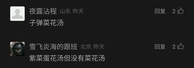 这是一张社交媒体评论区的横版截图，展示了两条用户发布的趣味评论。来自山东的用户“夜露沾程”发布评论“子弹菜花汤”，该内容是玩了“紫菜蛋花汤”的谐音梗，这条评论获得了2个点赞；随后来自北京的用户“雪飞炎海的跟班”发布评论回应“紫菜蛋花汤但没有菜花汤”，直接点出正确的汤品名称并调侃前者的谐音梗，这条评论同样获得2个点赞。两条评论围绕汤品名称展开了轻松有趣的互动，整体氛围诙谐。