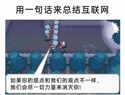 图片上方配有文字“用一句话来总结互联网”，下方是《宝可梦》系列游戏的像素风格截图。画面中主角角色正面对一群穿着统一制服的对手（疑似火箭队队员），底部对话框显示对手台词“如果你和我们的观点不一样，我们会尽一切力量来消灭你！”。通过游戏场景的夸张表现，讽刺互联网上存在的观点极化、不容异见的现象，以幽默方式反映网络环境中对不同意见的排斥态度。