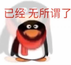这是一张以腾讯QQ经典企鹅形象为主体的表情包，企鹅戴着红色围巾，表情呆滞，画面上方配有红色文字“已经 无所谓了”，整体传递出一种对事情不再在意、躺平摆烂的无奈佛系情绪，适合在聊天中用来抒发自己对某件事失去兴趣、不想再关注的心态。图中没有双关、谐音梗或暗示内容。