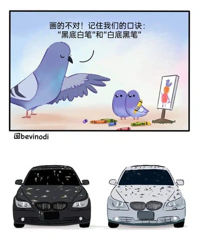 这是一张上下拼接的趣味内容图，上半部分是@bevinodi创作的卡通漫画：一只大鸽子正在教导两只拿着蜡笔的小鸽子绘画，指出小鸽子的彩色画作错误，强调要遵循“黑底白笔”和“白底黑笔”的口诀；下半部分是现实中的两辆汽车，黑色汽车的车身上是白色的鸟粪，白色汽车的车身上是深色的鸟粪，完美对应了大鸽子所说的口诀，用拟人化的鸽子教学场景，幽默地调侃了生活中鸟粪在不同颜色汽车上的呈现规律，形成了巧妙的笑点。