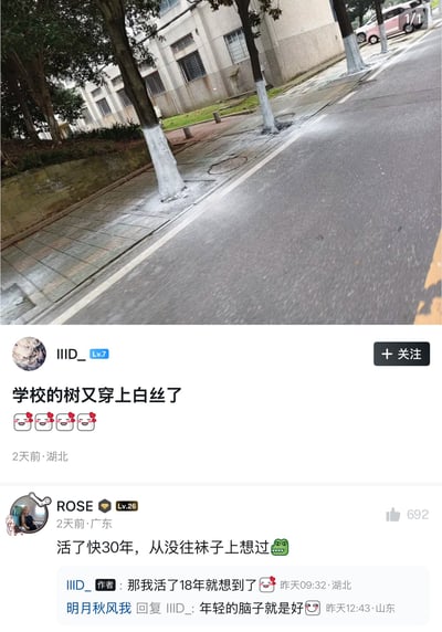 图片上半部分是校园街景：沥青道路旁有人行道、砖砌挡墙、树木和一栋带铁窗的楼房。多棵行道树靠近根部的树干都被刷上一段白色涂剂，用于防虫、防冻或夜间标识，但因形状和位置类似腿上的白色长袜，被楼主调侃为“学校的树又穿上白丝了”。下半部分是社交平台帖子和评论。用户 ROSE 说自己活了快30年，从没往袜子上想过；楼主 IIID_ 回应自己18岁就想到了；用户明月秋风我则调侃“年轻的脑子就是好”。笑点在于日常园林养护措施与二次元“白丝”意象之间的意外重合。补充标题还以玩笑方式区分：白色涂剂若盖过树干凸起位置，就像过膝袜，否则像小腿袜。