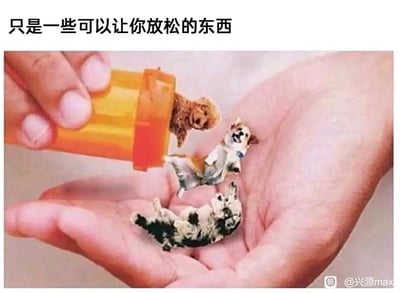 这是一张经过创意P图改编的静态图片，画面呈现一只手拿着橙色的药瓶，往另一只摊开的手掌中倾倒物品，但倒出的不是常规的药片，而是三只姿态放松软萌的迷你小动物——两只小狗和一只小猫，它们神态惬意慵懒，仿佛是能让人放松的“特效药”。图片上方配文“只是一些可以让你放松的东西”，将治愈人心的萌宠比作缓解压力、让人放松的“药物”，精准戳中当下人们通过吸猫撸狗来舒缓情绪、释放压力的心理，用趣味十足的创意表达传递出萌宠带来的治愈感。