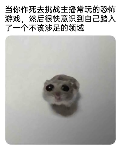 这是一张搞笑表情包，上方配有吐槽文字“当你作死去挑战主播常玩的恐怖游戏，然后很快意识到自己踏入了一个不该涉足的领域”，下方是一只缩成一团、瞪着圆溜溜大眼睛的仓鼠，它神情惊恐又带着委屈，舌头微吐，贴在墙面上的姿态显得无助又可怜。这张图用可爱的仓鼠形象，精准还原了玩家一时兴起尝试高难度恐怖游戏，结果很快被吓到、后悔不已的状态，通过可爱形象与恐惧情绪的反差，制造出搞笑的效果，很容易引发游戏爱好者的共鸣。