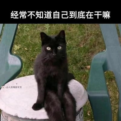 这是一张贴合当代人情绪的搞笑表情包，画面主体是一只被修改为人类坐姿的黑猫，它双腿垂坐在桶的边缘，眼神空洞迷茫，仿佛在放空发呆。图片上方配有文字“经常不知道自己到底在干嘛”，精准表达出人们时常陷入迷茫、无所适从的精神状态，左下角带有“@人类嘴替发言”的水印。该图通过拟人化的动物形象和直白的配文，生动戳中当代人日常的情绪痛点，适合用来抒发自己不知所措、精神放空的心情。