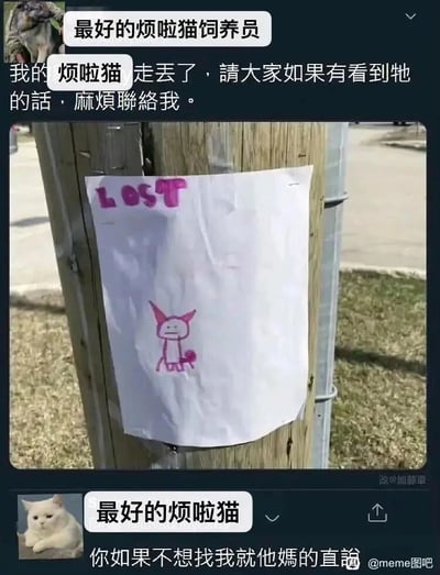 这是一张社交媒体平台的截图类搞笑meme图，分为上下两部分内容。上半部分是用户“最好的烦啦猫饲养员”发布的寻猫动态，文字内容为告知网友自己的“烦啦猫”走丢，希望看到的人联系自己，并附带一张贴在户外电线杆上的寻猫启事照片；这张寻猫启事仅用粉色笔写了英文“LOST”，下方是一幅极其潦草、抽象的简笔画，完全无法体现猫的任何具体特征，敷衍感拉满。下半部分是用户“最好的烦啦猫”发布的动态，头像是一只白色猫咪，文字内容用愤怒的语气吐槽：“你如果不想找我就他妈的直说”，以猫的视角戳穿主人的敷衍行为，形成强烈的反差搞笑效果。