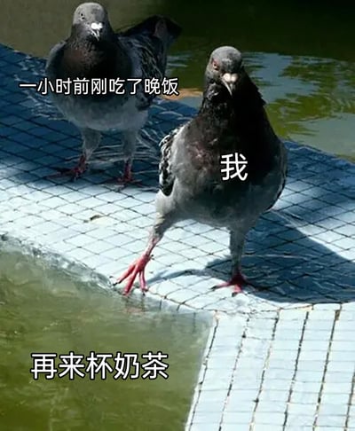 两只鸽子站在水边的瓷砖地面上，左边鸽子上方配文'一小时前刚吃了晚饭'，右边鸽子身上标有'我'，下方配文'再来杯奶茶'，幽默地表现了即使刚吃完饭也忍不住想喝奶茶的心情。