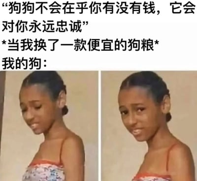 图片上方文字写道“狗狗不会在乎你有没有钱，它会对你永远忠诚”，下方标注“*当我换了一款便宜的狗粮* 我的狗：”，并配有两张左右对比的真人女孩照片。左图女孩低头，表情略带失望；右图女孩抬头，眼神中带着审视和一丝嫌弃，通过幽默的对比手法，调侃了理想中狗狗的忠诚与现实中可能因狗粮质量下降而产生的“反应”之间的反差，充满生活气息和搞笑元素。