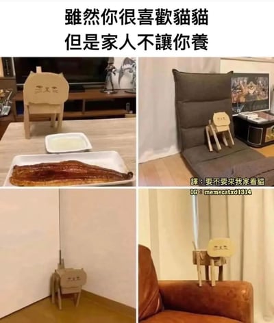这是一张四格拼接梗图，顶部文字写着“雖然你很喜歡貓貓 但是家人不讓你養”，描述了喜欢猫咪却被家人禁止养猫的无奈场景。四个格子分别展示了一个简易木质猫咪摆件（画着猫脸）在不同家居场景中的画面：第一格中摆件前放着一盘烤鳗鱼和一碗水，仿佛在喂食；第二格摆件坐在灰色靠垫上；第三格摆件立在墙角；第四格摆件趴在棕色沙发上。图片底部配有文字“要不要來我家看貓”，幽默地将木质摆件当作“猫”来邀请他人，展现了因无法养真猫而用创意手工替代的可爱与无奈。
