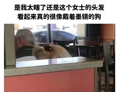 这是一张玩味十足的视觉错觉梗图。图片上方配有吐槽文字：“是我太瞎了还是这个女士的头发看起来真的很像戴着墨镜的狗”，下半部分视觉上初看像是一只戴着墨镜的狗狗，其实是因为女士的发型加上恰巧放置的墨镜制造出了类似狗头的错位效果，这种迷惑性令人忍俊不禁。