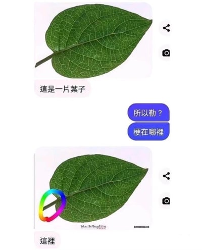 图片分为上下两部分。上半部分是一片绿色的叶子，下方配有文字“這是一片葉子”；右侧有两个蓝色对话气泡，分别写着“所以勒？”和“梗在哪裡”。下半部分是同一片叶子，但叶柄处被一个彩虹色的圆环圈住，下方文字标注“這裡”。

该图使用谐音梗：“梗”（gěng，指笑话、笑点）与“梗”（gěng，植物的茎/叶柄）同音，通过彩虹环突出叶柄位置，暗示“梗”就在叶柄这里，形成冷笑话效果。