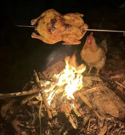 夜晚场景中，一只烤得金黄的整鸡被串在铁钎上，悬在燃烧的篝火上方烤制，鸡皮呈现出诱人的焦糖色并带有少许烤焦的痕迹。火堆由木柴搭建，火焰正旺，向上蹿升的火苗舔舐着鸡肉。在篝火旁，一只活鸡站立着，头部微微抬起，似乎正注视着正在被烤制的同类，形成一种颇具戏剧性的对比画面。