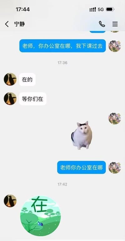 这是一张手机端QQ的聊天记录截图，聊天双方分别是备注为“宁静”的老师和一名学生。学生先后两次向老师询问办公室的具体位置，表示自己下课要过去，老师第一次回复“在的”“等你们在”，没有回答地址问题，学生发送了一个胖白猫蹲坐的表情包后再次询问地址，老师仅回复了一个带有“在”字的绿色风景背景表情包，全程都没有告知学生办公室的具体位置，答非所问的回复十分离谱，充满笑点。