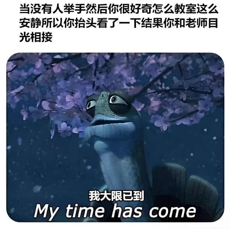 Master Oogway（乌龟大师）