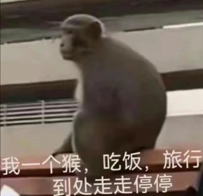 图片中一只猴子独自坐在室内环境中，侧身眺望远方，姿态悠闲。图片底部配有文字“我一个猴，吃饭，旅行，到处走走停停”，改编自流行歌词“我一个人吃饭旅行，到处走走停停”，将“人”替换为“猴”，形成拟人化的幽默效果，展现一种独自生活的惬意状态。